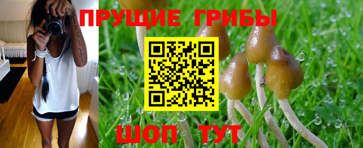 Галлюциногенные грибы Psilocybine cubensis  Вход с VPN  Псилоцибиновые грибы Magic Shrooms  Новочебоксарск 